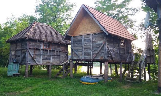 Drinski vajati misic