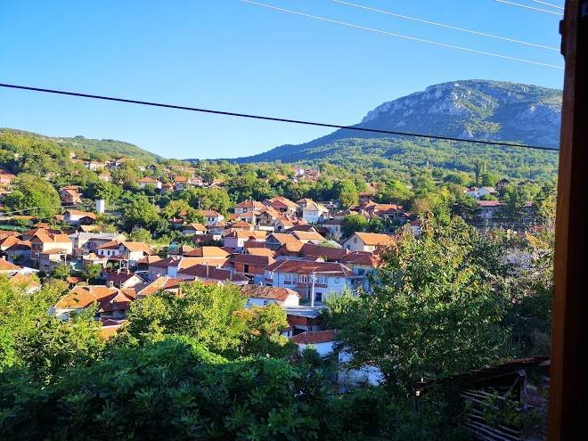 Konak ramonda serbica