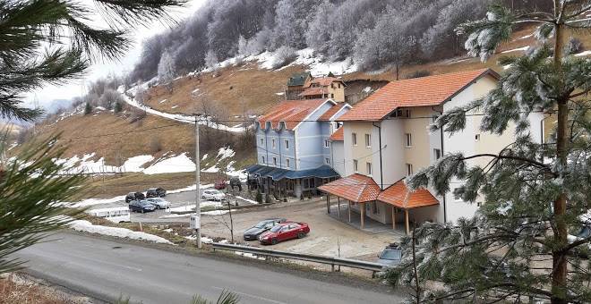 Vila vuk wolf