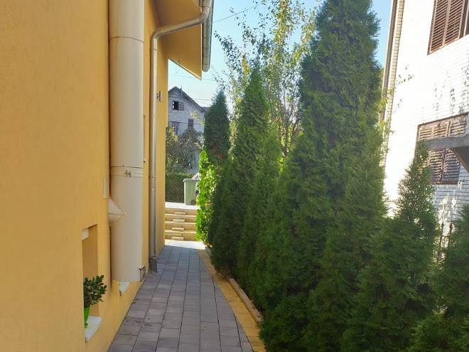 Vila slavica