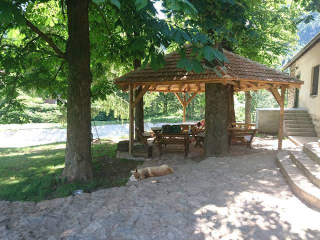 Pansion radgost