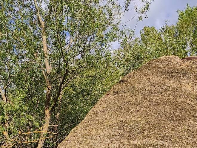 Domacinstvo Izvor Image