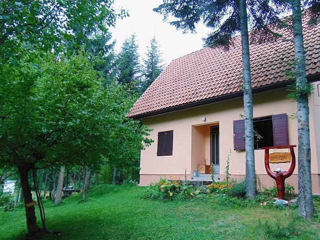 Dren banjska stena