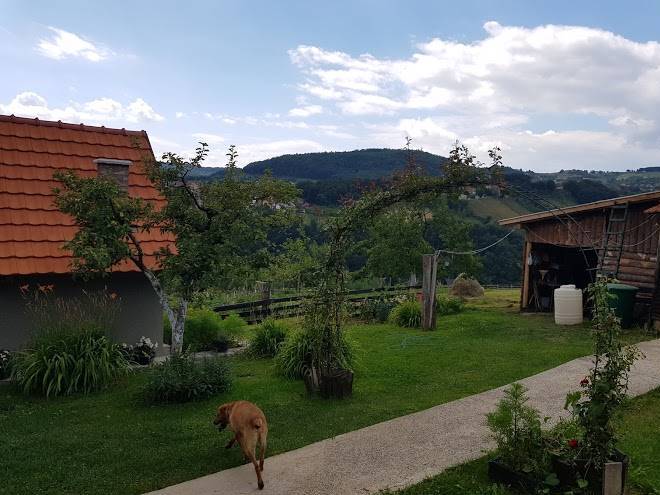 Konaciste svedrana