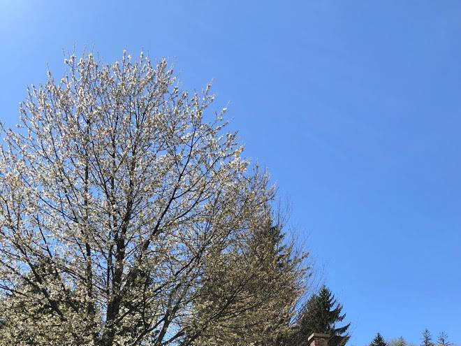 Kucica Za Odmor Image