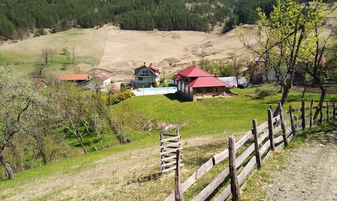 Milogosce
