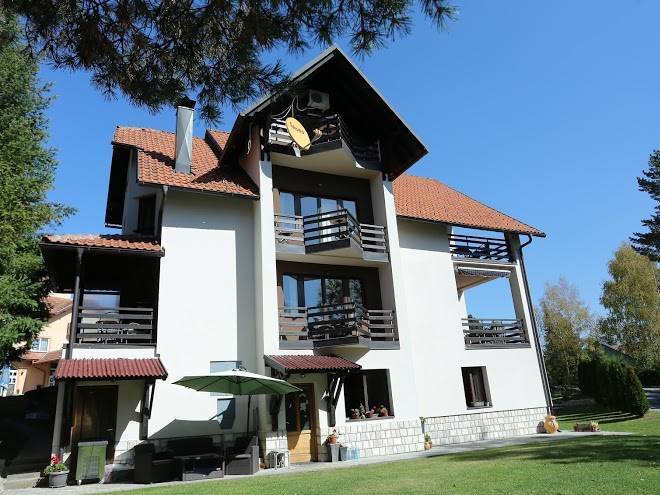 Vila knez