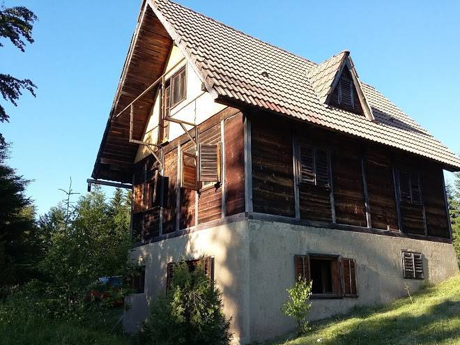 Vila perduh