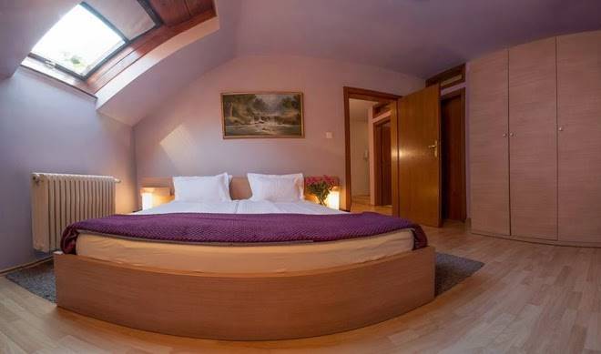 Citi hotel veliki novi sad