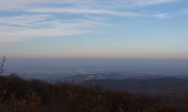 Zmajevac fruska gora