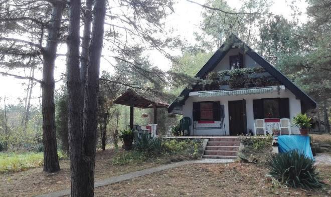 Ladybird lodge