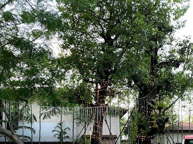 Beach Villas Ocean Suite Image