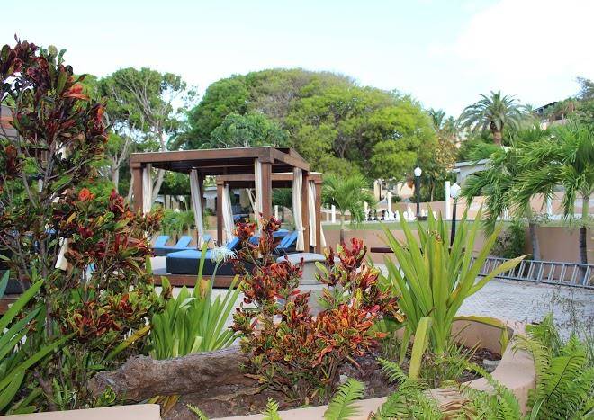 Divi little bay beach resort