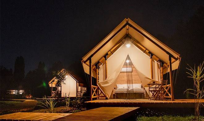 Forrest glamping