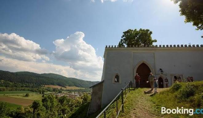Mnichov dvor