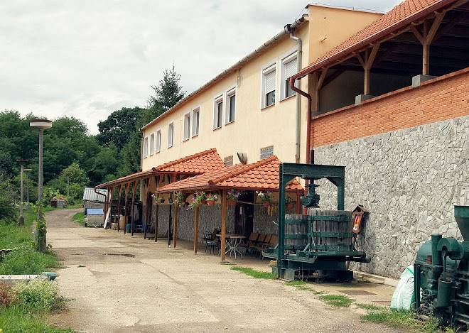 Rodinne Vinarstvo Durik Image