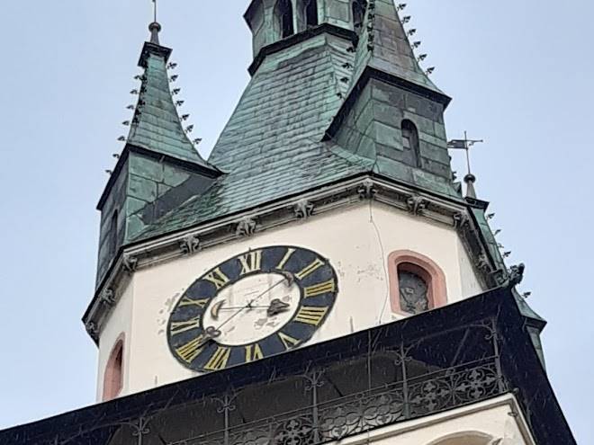 Hotel veternik