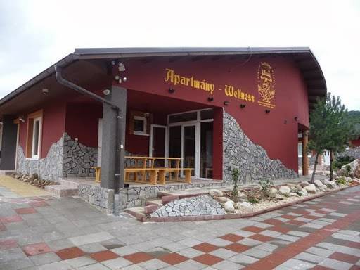 Selfness roznava wellness zdravia a vitality