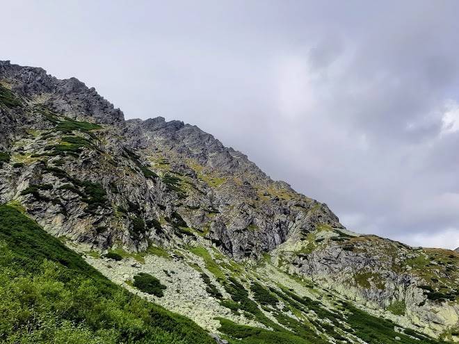 Privat svist