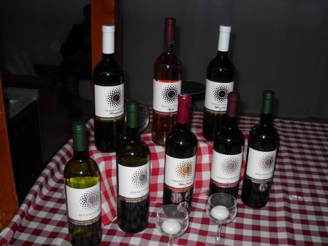 Wine new life ltd