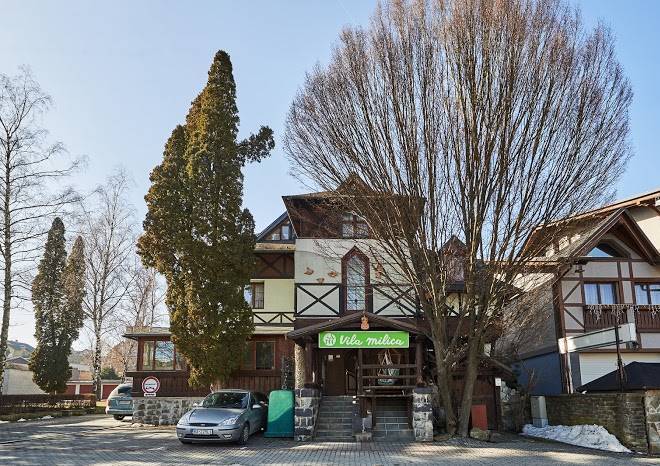 Vila milica