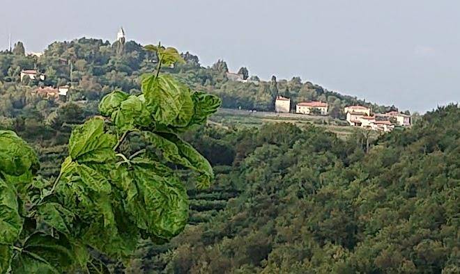 Pri bregarju