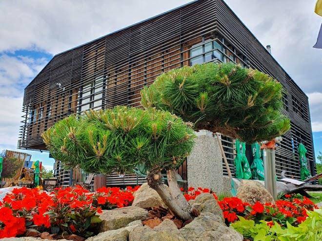 Hotel celjska koca
