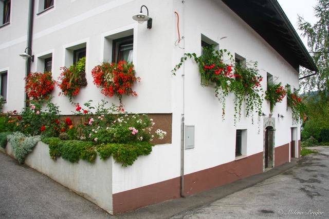 Posestvo estate magovac