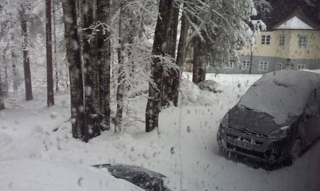 Center solskih in obsolskih dejavnosti