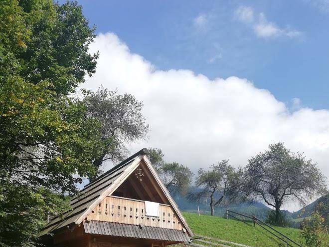 Glamping savinja