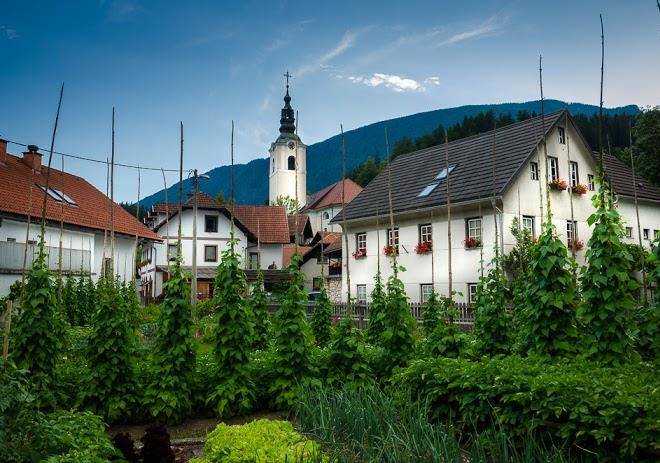 Ride slovenia mountain bike tour co