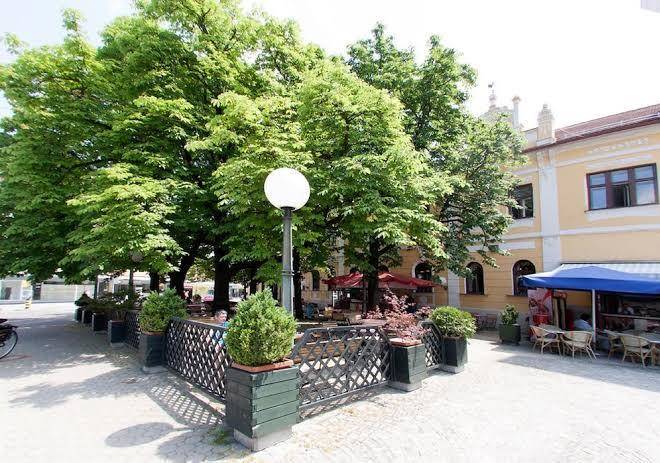Hotel zvezda