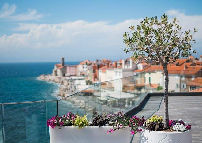 Hotel piran