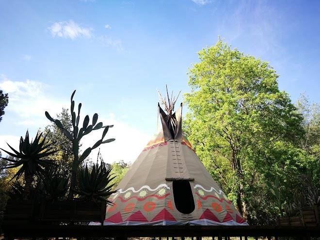 A hog's life magical teepee tipi experience in hogsback