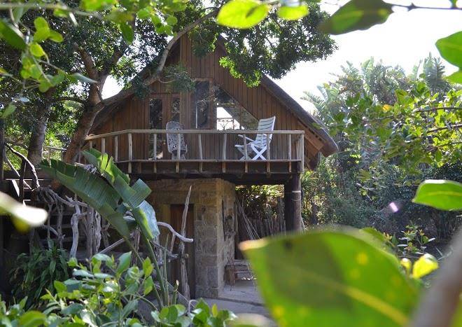 Driftwood studios