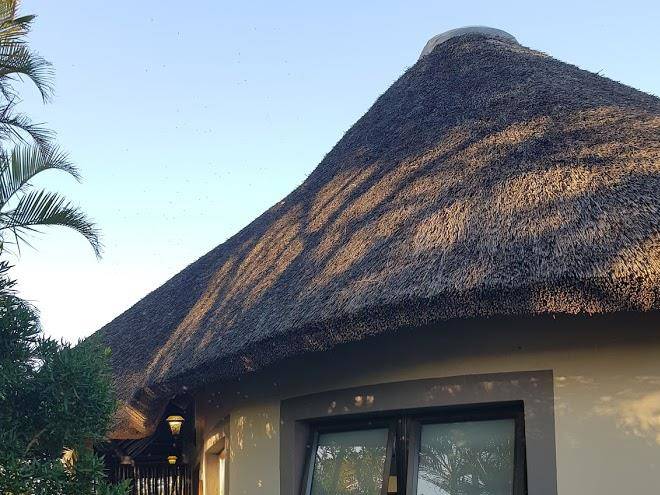 Europa inn