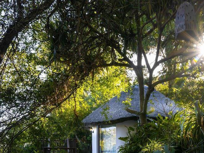 The loerie hide
