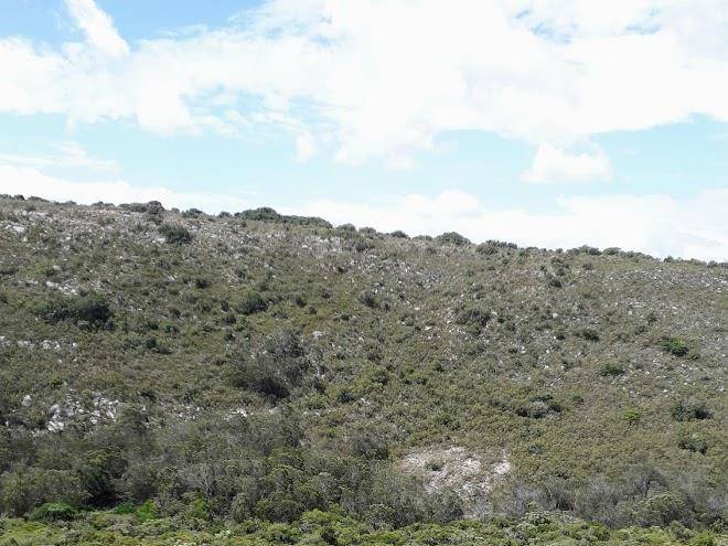 Bushmans gorge