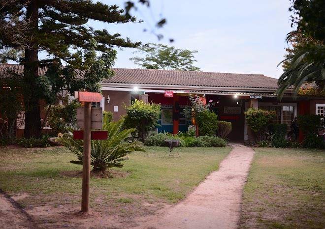 Orange elephant backpackers