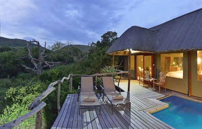 Shamwari private game reserve