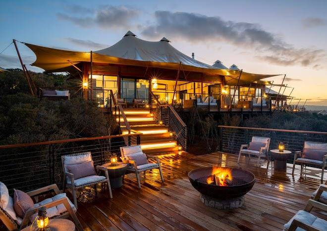 Sindile at shamwari private game reserve