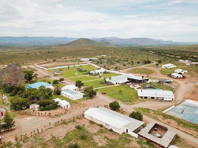 Buffelshoek dirosie lodge