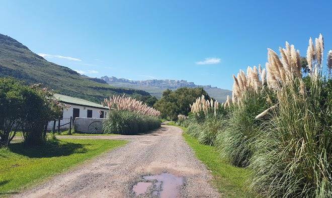 Intaba lodge and a la carte restaurant