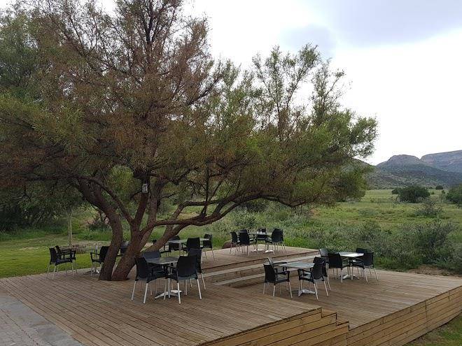 Mountain zebra np restaurant