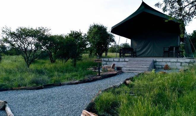 Bosrand glamping