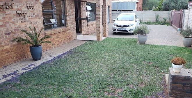 The Purple Tree Image