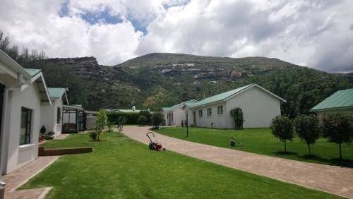4 paddocks