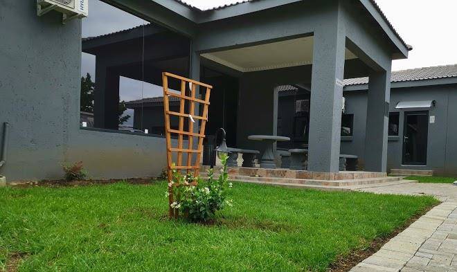 The Green Olive Panorama Image