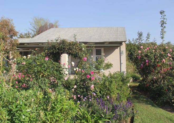 Bella rosa farm