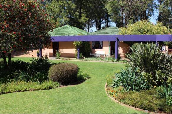 Big tree bed and breakfast mobi site